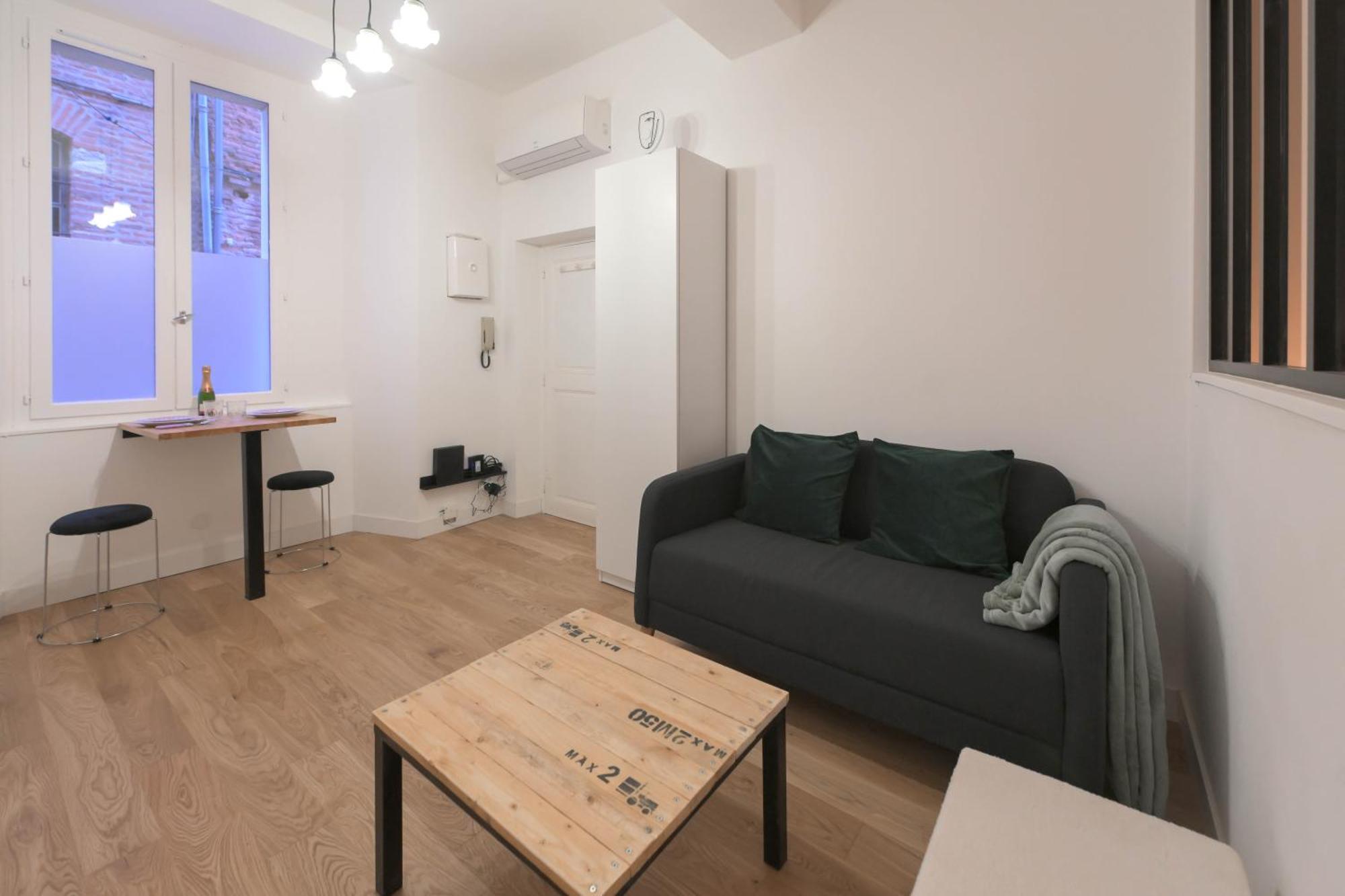 Appartement T1 Bis L'Enfilade Albi Exterior foto